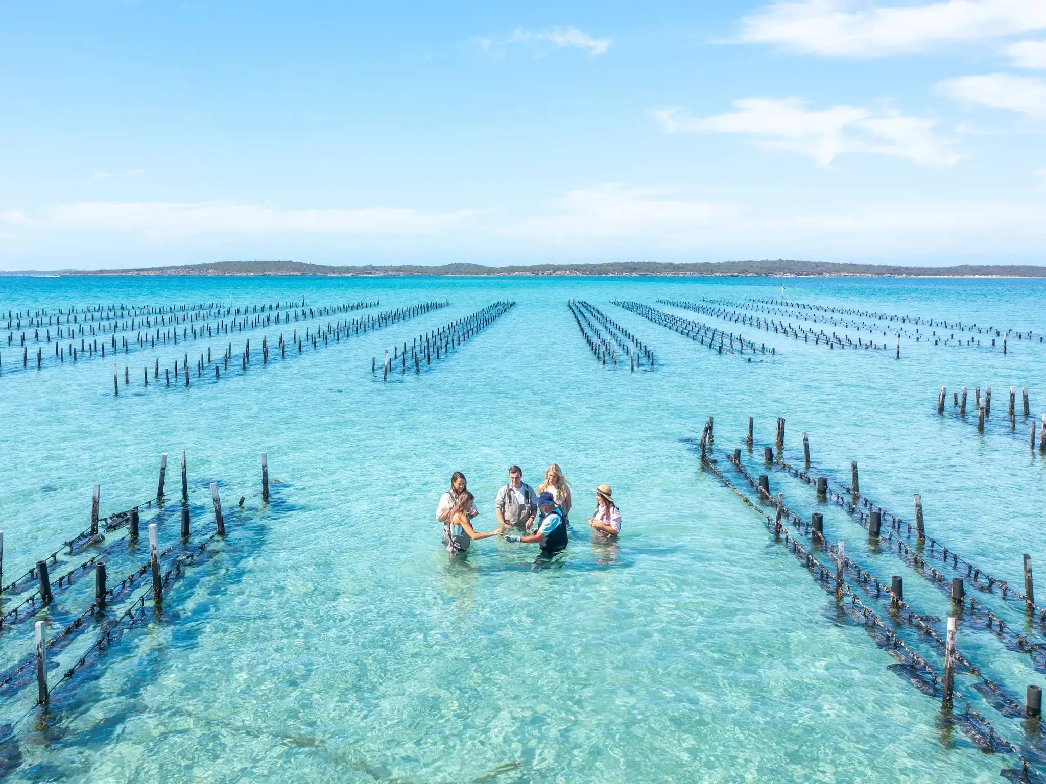 ATDW-Experience-Coffin-Bay-Oyster-Farm-Boat-Tours