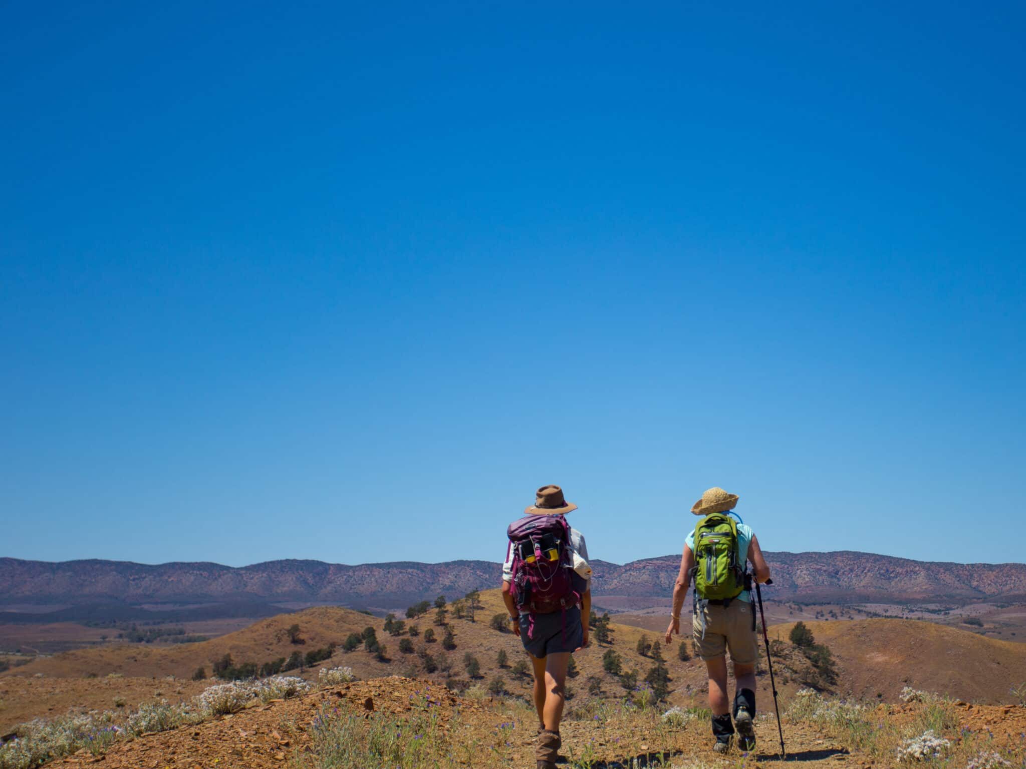 Flinders Ranges 2